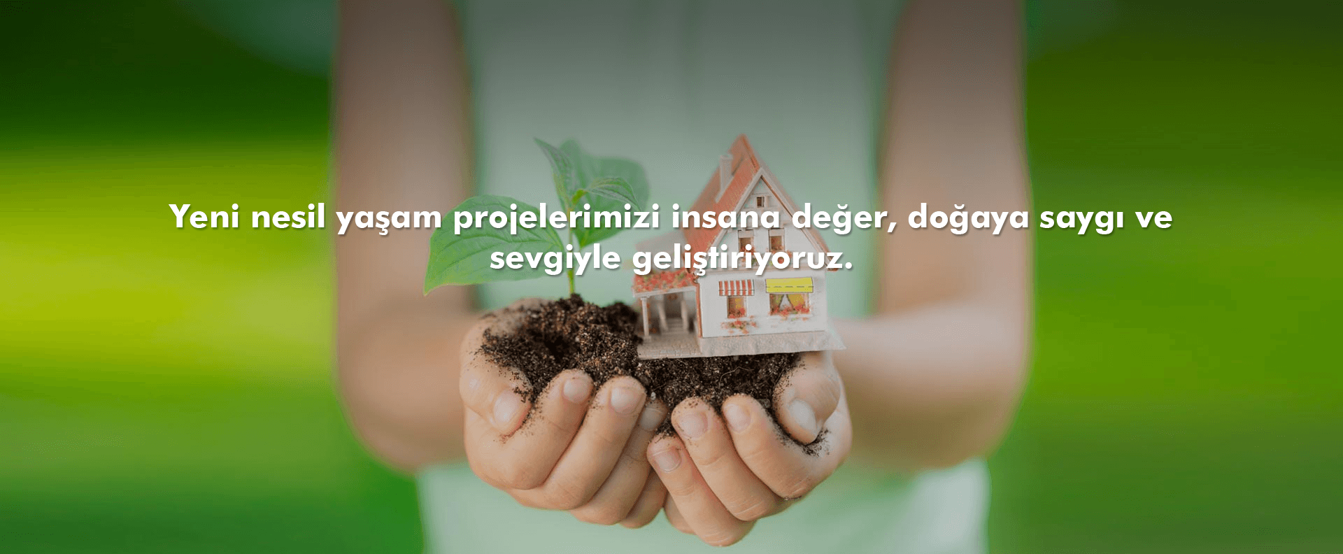 Zeytin